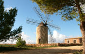 Windmühle von La Mola